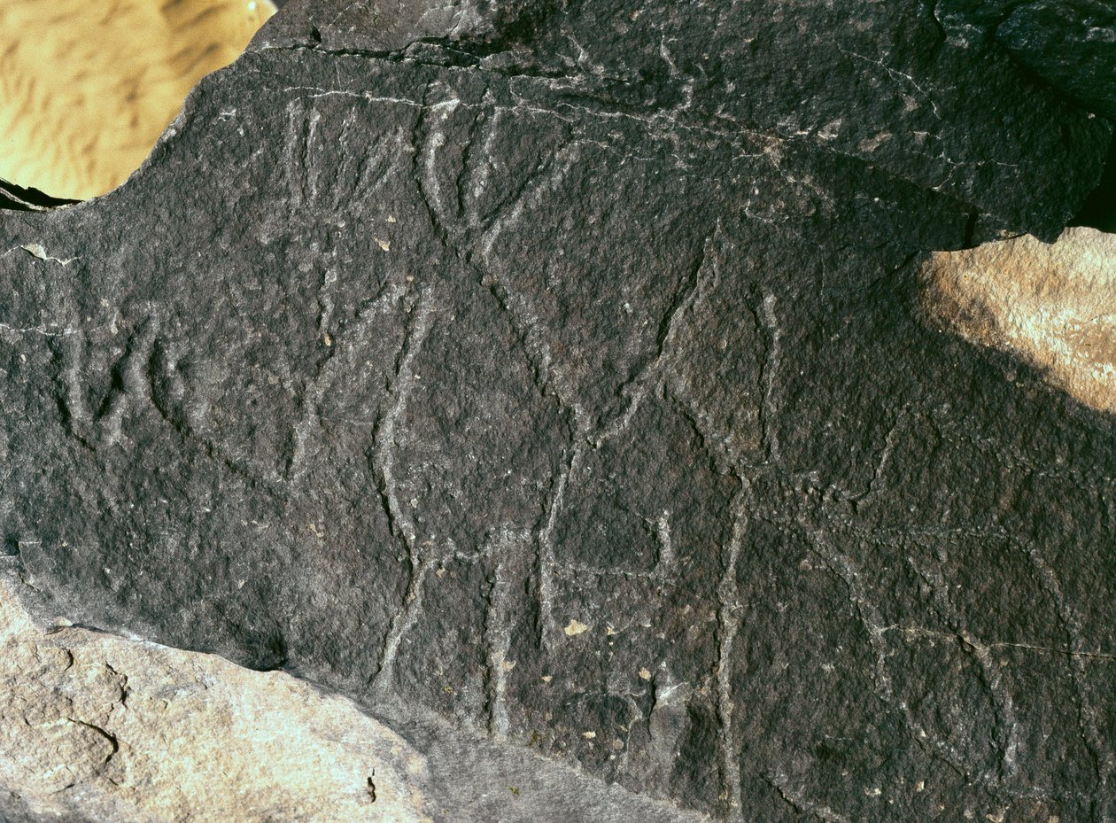 Prehistoria, arte rupestre: roca grabada de Prehistoric Prehistoric