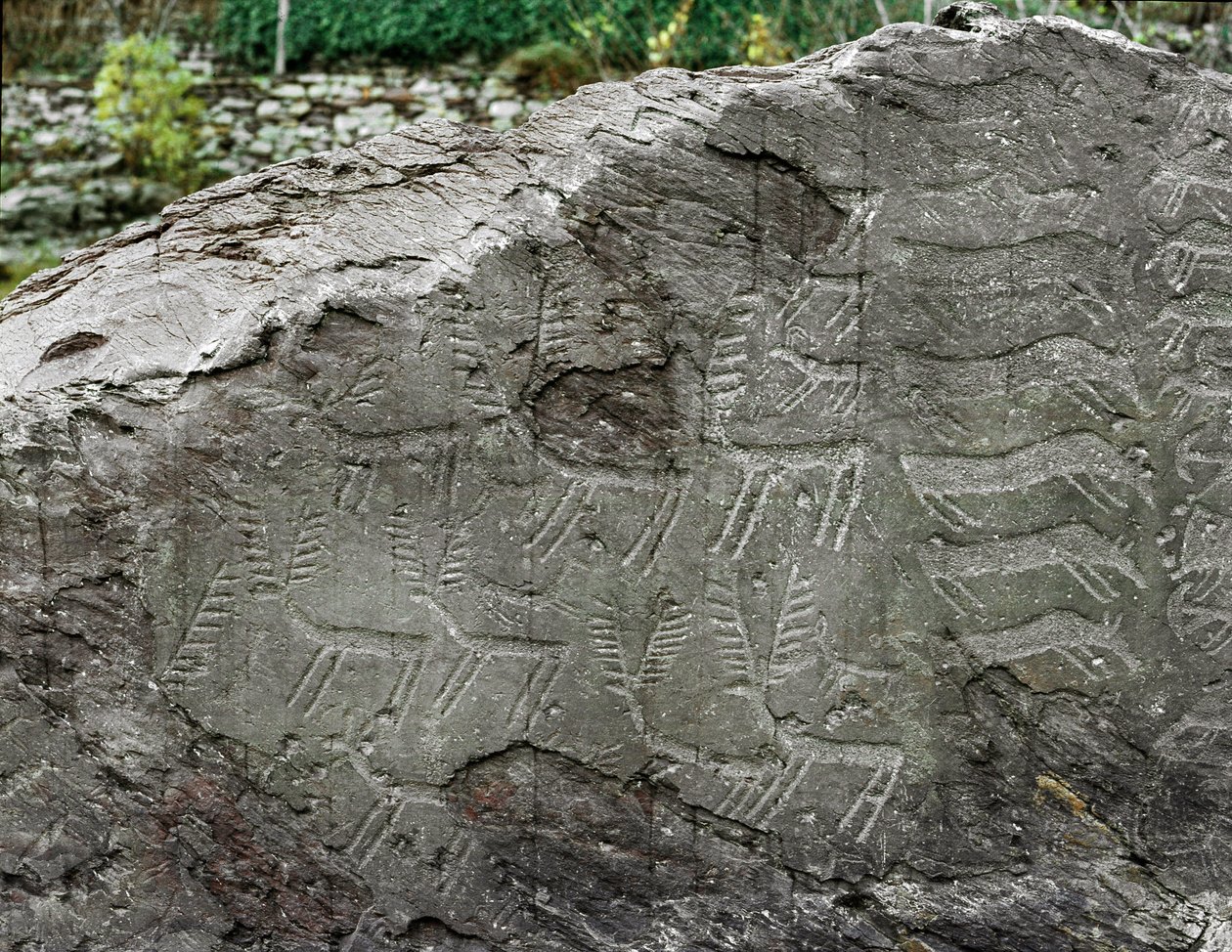 Prehistoria, arte rupestre: roca funeraria con representaciones de ciervos y ganado. Edad del Cobre. Periodo Eneolítico (calcolítico). Roca n. 1. Cemmo (Brescia) Parque arqueológico nacional de los Masos de Cemmo, Italia de Prehistoric Prehistoric