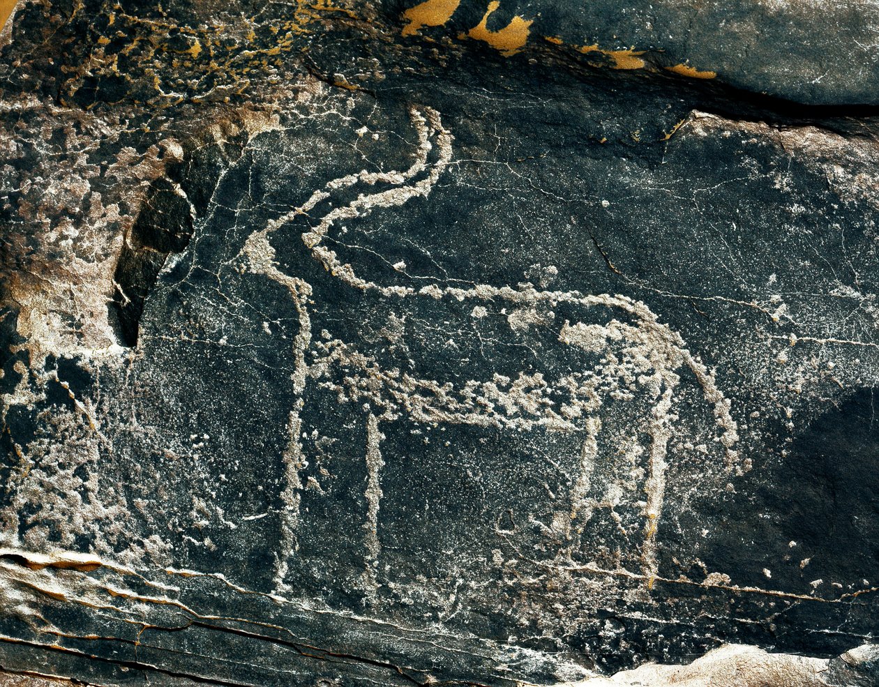 Prehistoria, arte rupestre: roca funeraria con representación de un antílope de Prehistoric Prehistoric