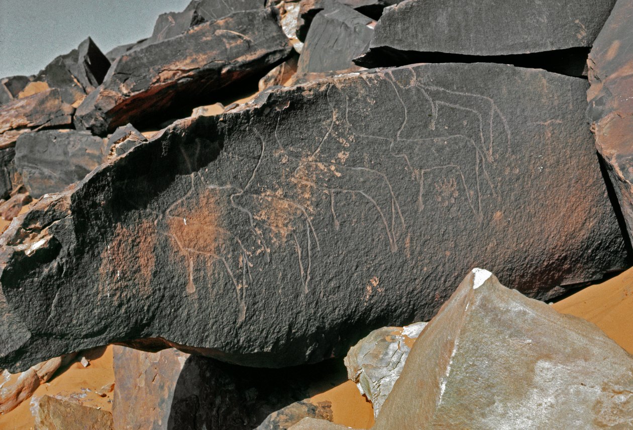 Prehistoria, arte rupestre: roca funeraria con representación de ganado de Prehistoric Prehistoric
