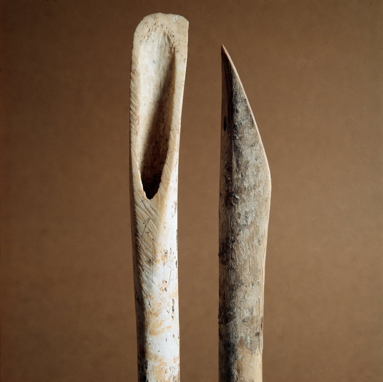 Prehistoria: herramientas para quitar la corteza de huesos de cabra y oveja de la Necrópolis de Arene Candide (Finale Ligure), Liguria. Neolítico Medio, Edad de Piedra. Génova, museo di archeologia ligure de Prehistoric Prehistoric