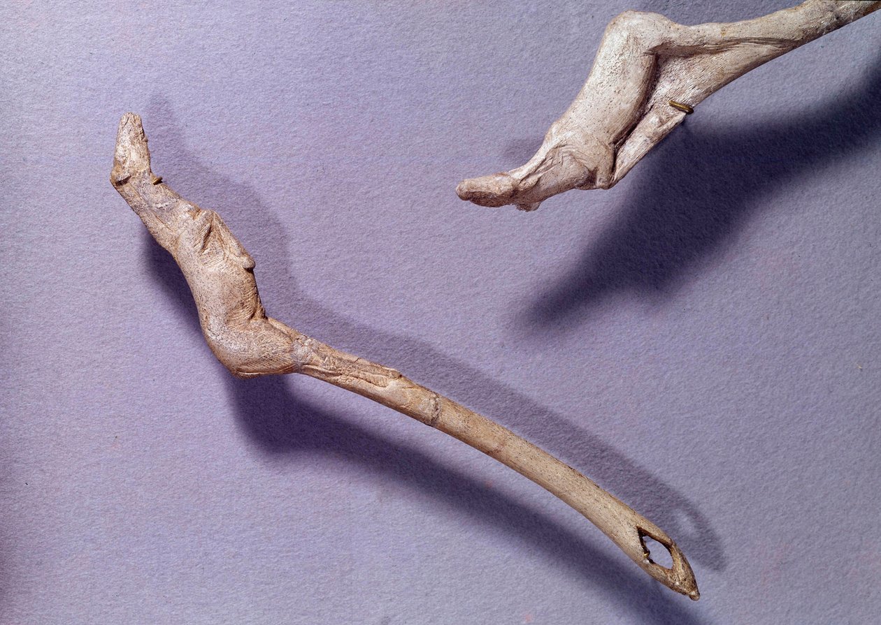 Prehistoria: dos propulsores llamados "al caballo saltarín" hechos en madera de reno. Período del Magdaleniense Medio. Saint Germain en Laye, Museo de Arqueología Nacional de Prehistoric Prehistoric