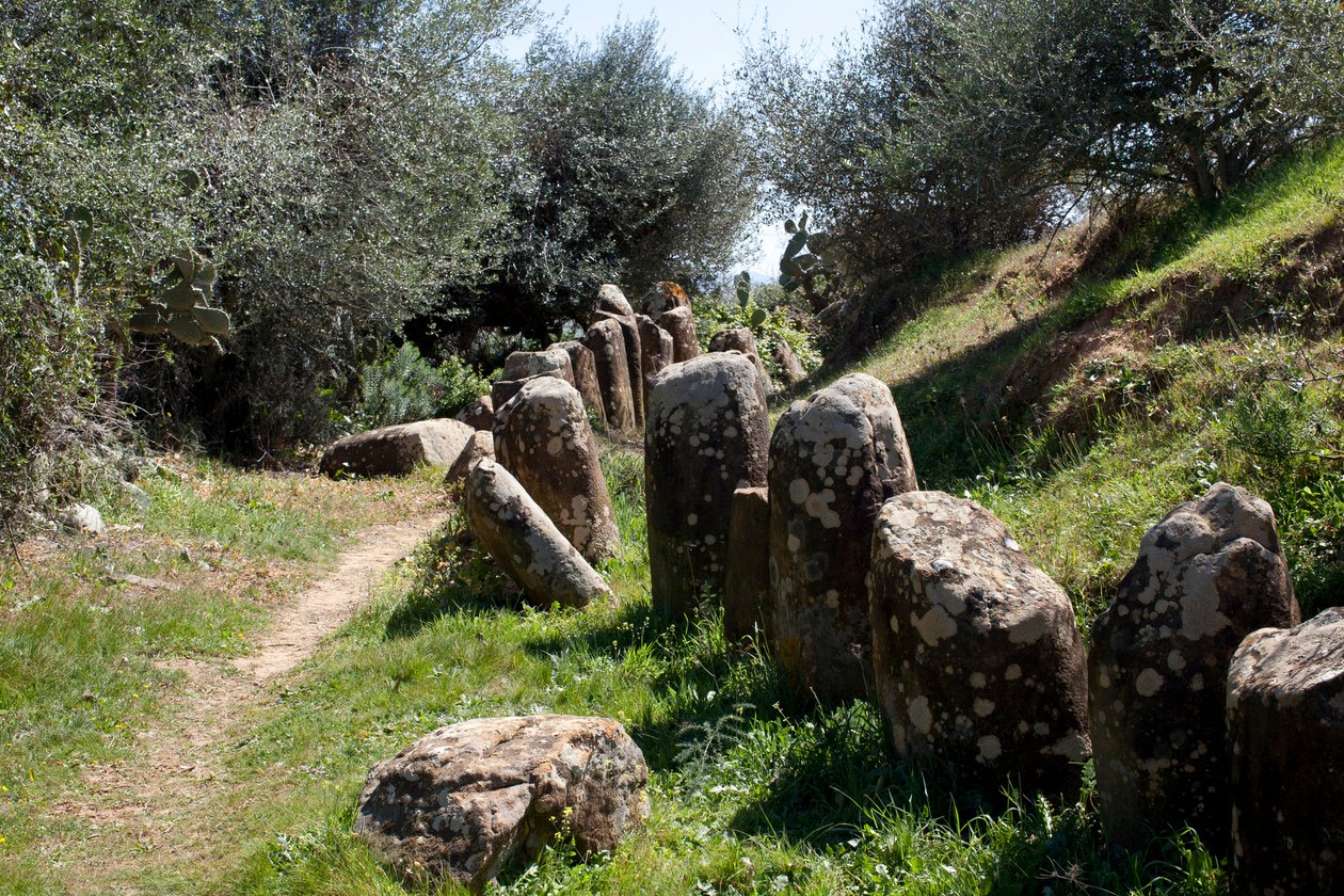 El sitio arqueológico de cromlech M Zora, en Sidi El Yamani (Marruecos). Túmulo funerario neolítico (2000 a.C.), rodeado por 167 monolitos de Prehistoric Prehistoric