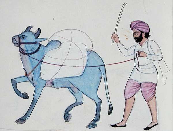 Lavandero (Dhobi) c.1890 de Punjabi School