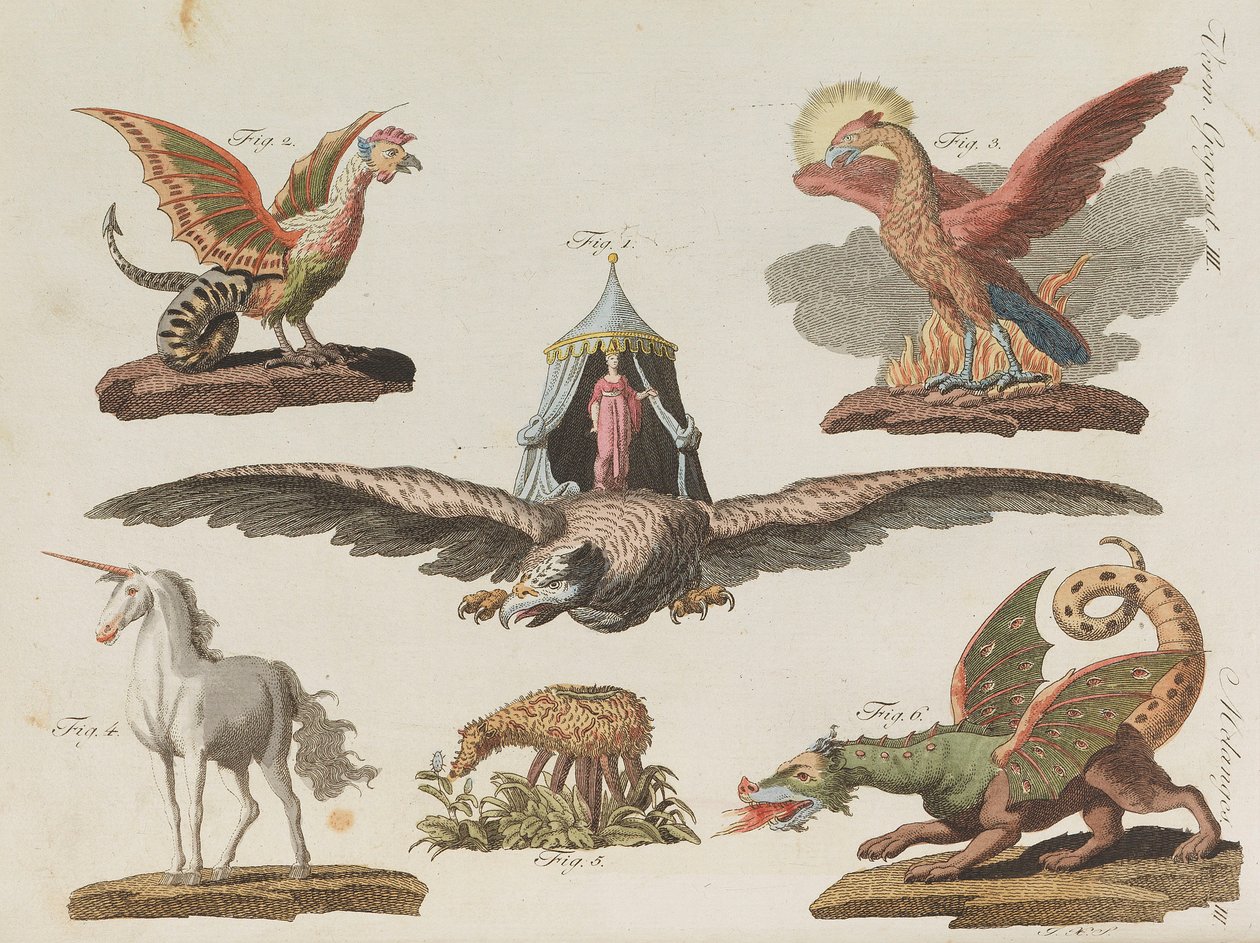 Libro de imágenes para niños Enciclopedia infantil de Friedrich Johann Justin Bertuch, 1798-1830 de Pupils of the Weimar Princely Free