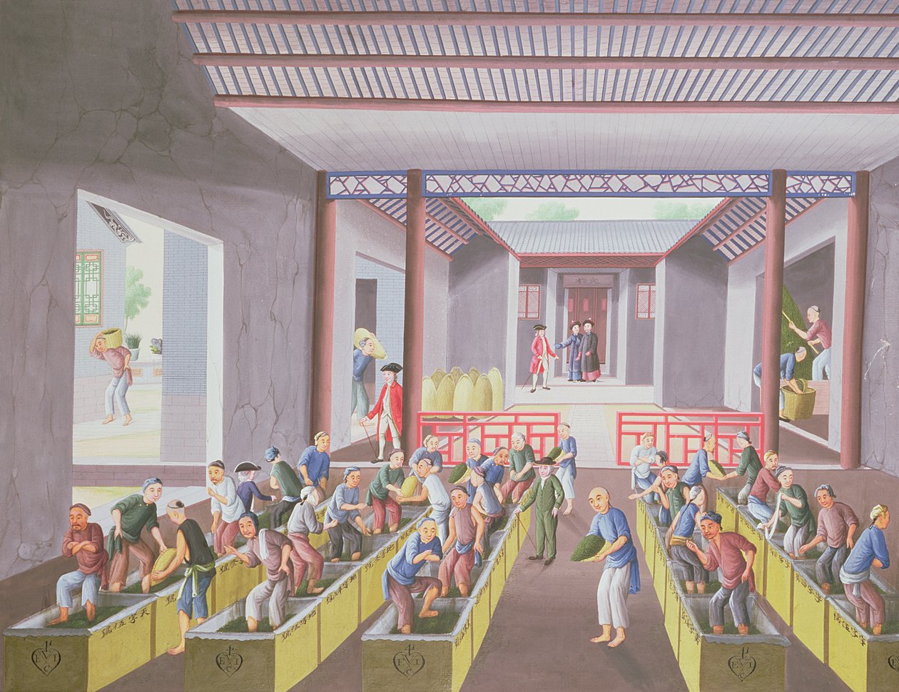 Preparación del té, de un álbum de 23 pinturas, c.1790 de Qing Dynasty Chinese School