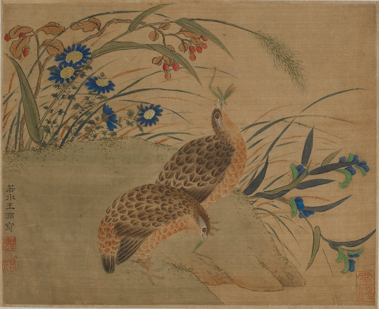 Dos codornices comiendo saltamontes bajo flores de Qing Dynasty Chinese School
