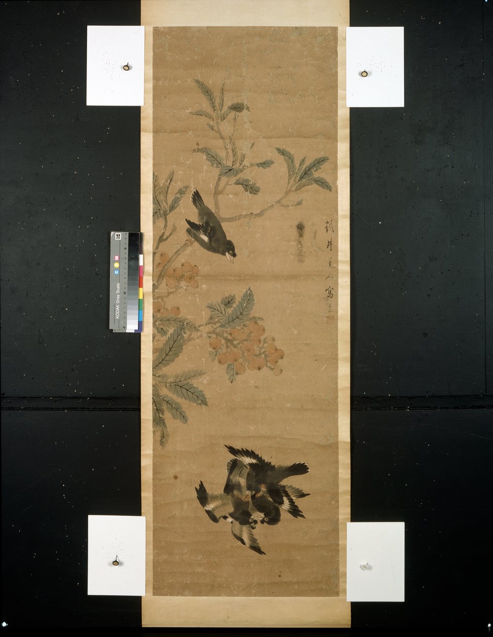 pájaros y rama de Qing Dynasty Chinese School