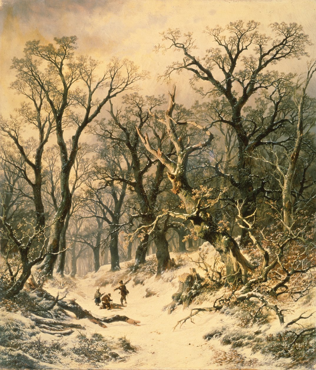 El bosque de R. Van Hannen