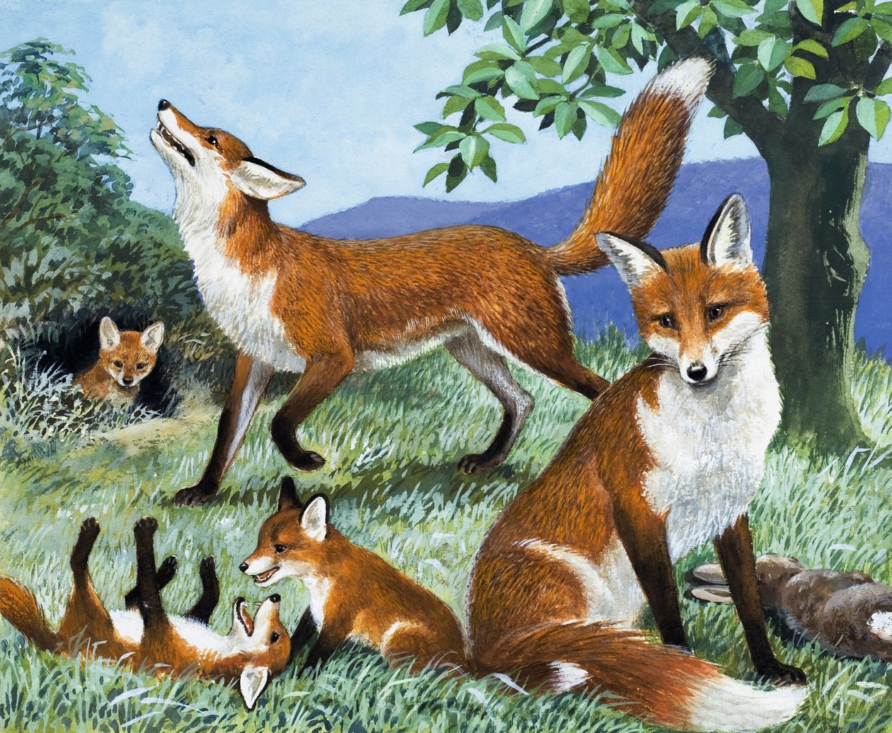 Cazadores de nuestra isla, de "El reino de la naturaleza" (gouache sobre papel) de R.B. Davis