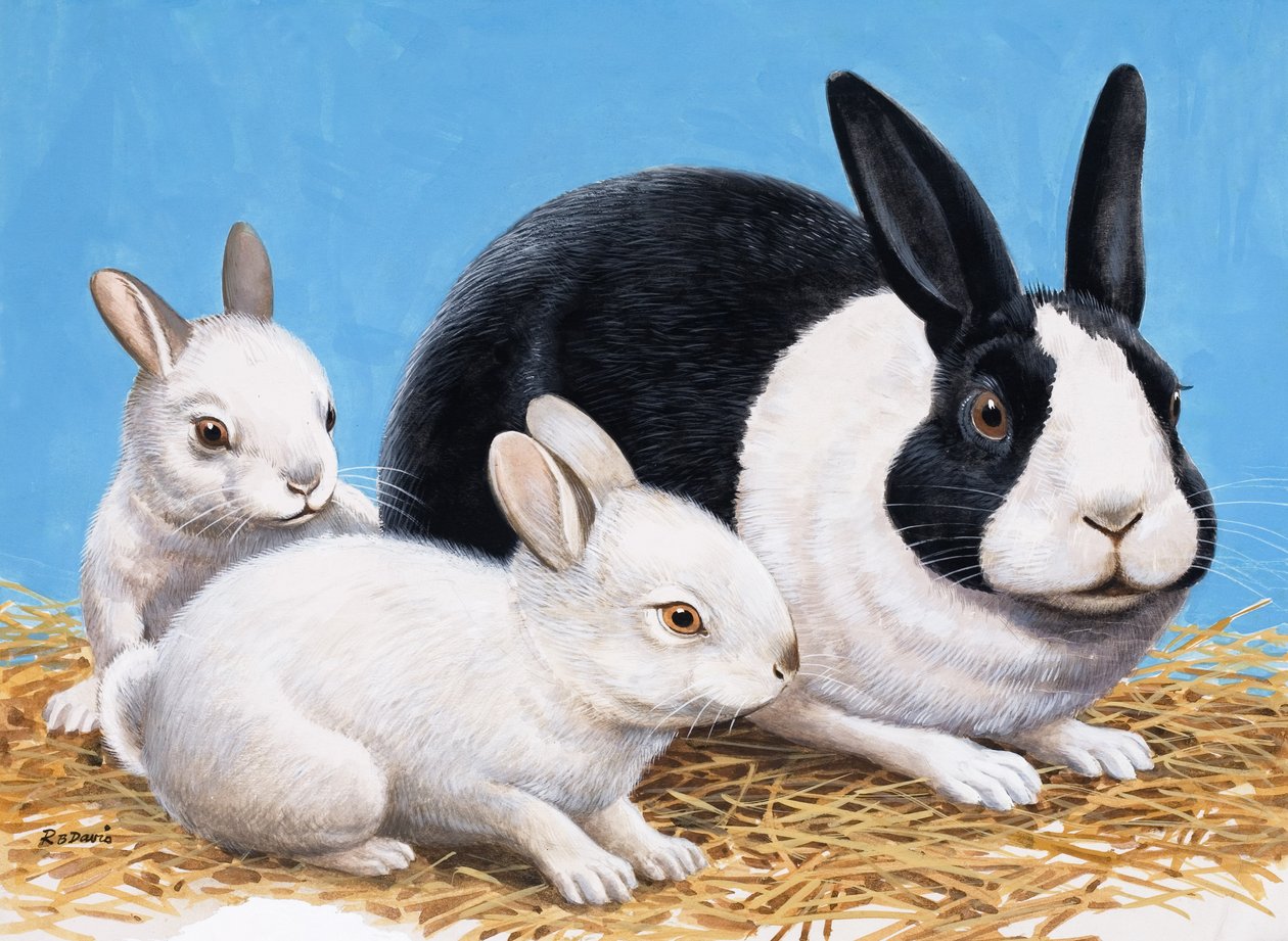 Conejos (gouache sobre papel) de R.B. Davis