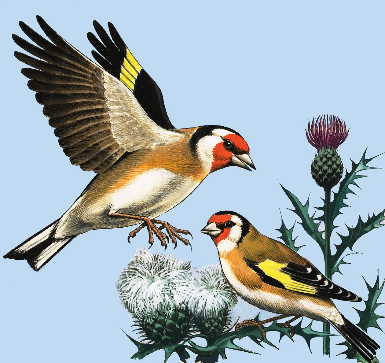 El campo en septiembre, ilustración de "Peeps at Nature". de R.B. Davis