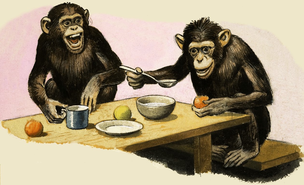 Z de Zoo. La fiesta del té del chimpancé de R.B. Davis