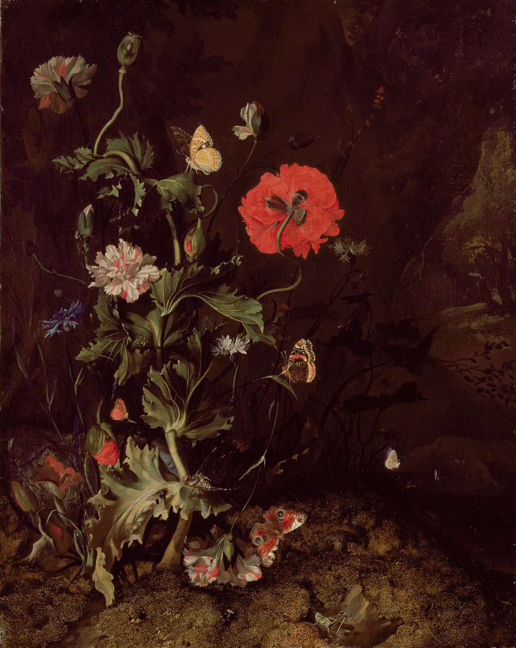 Naturaleza muerta en el suelo del bosque con flores y mariposas de Rachel Ruysch