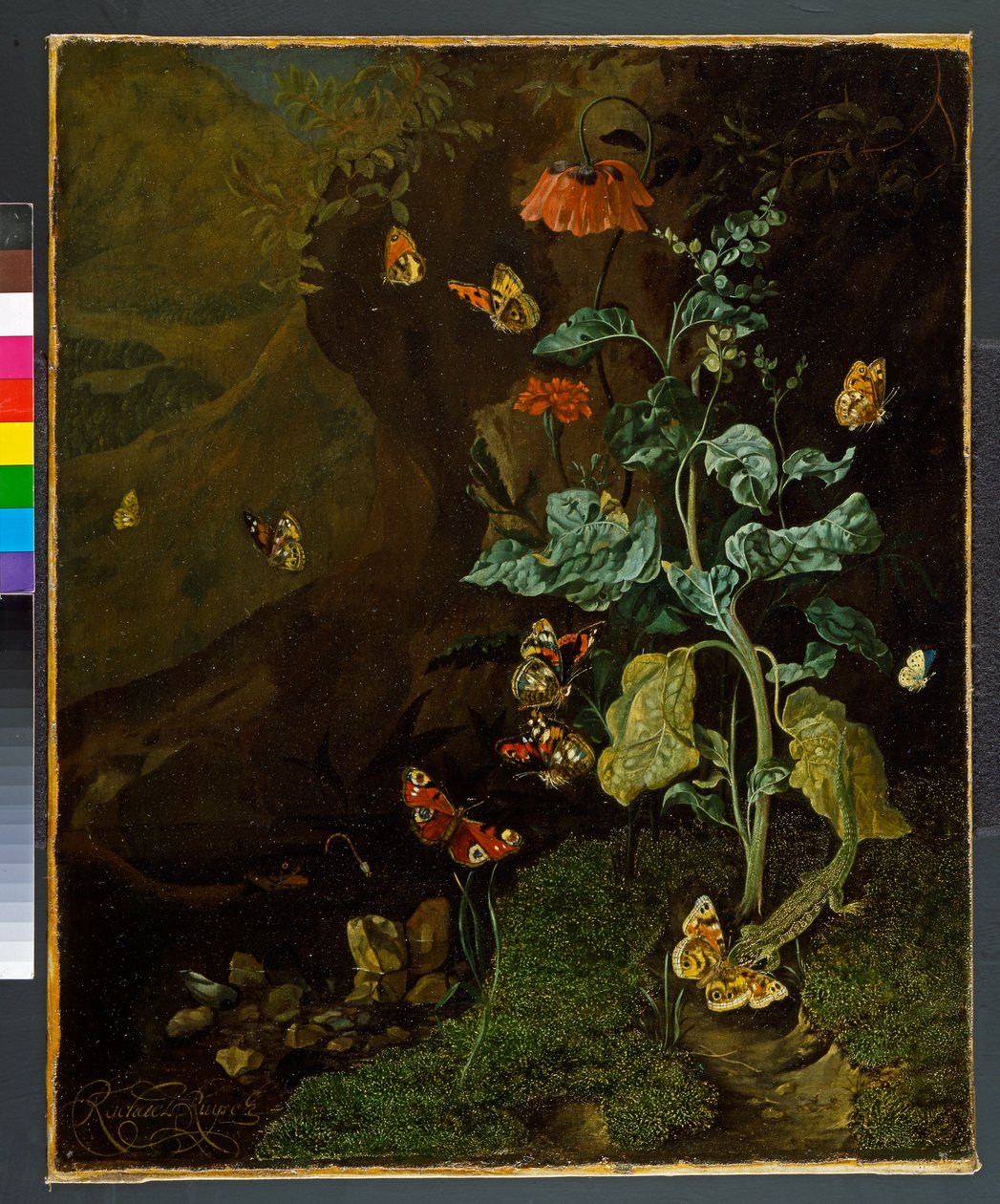 Naturaleza muerta con flores, mariposas y un lagarto en un valle, antes de 1750 de Rachel Ruysch