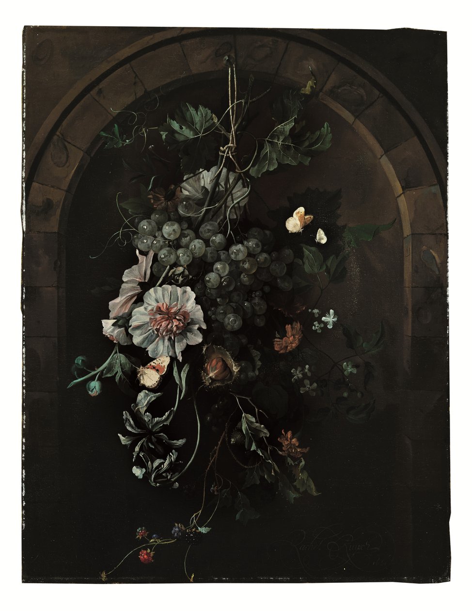 Un enjambre de uvas, malvarrosas, lirios, malvas, caléndulas africanas, clemátides, un castaño de indias y moras con mariposas y otros insectos suspendidos ante un arco de piedra. de Rachel Ruysch