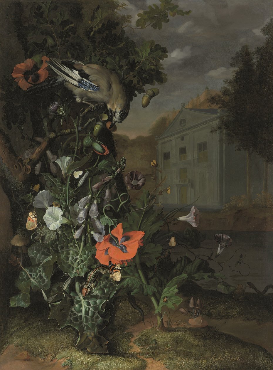 Suelo de bosque con una fachada clásica más allá (óleo sobre lienzo) de Rachel Ruysch