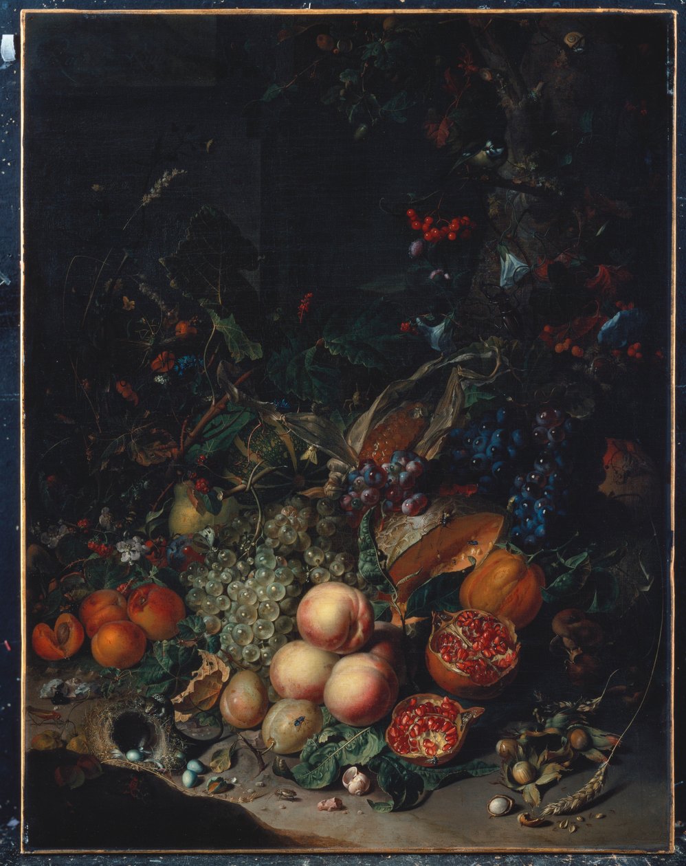 Duraznos, uvas, granadas, melones, una mazorca de maíz, albaricoques, ciruelas, peras, bellotas, 1718 de Rachel Ruysch