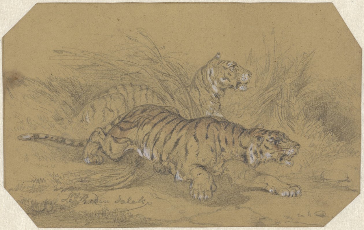 Dos tigres merodeando por la hierba de Raden Sarief Bastaman Saleh
