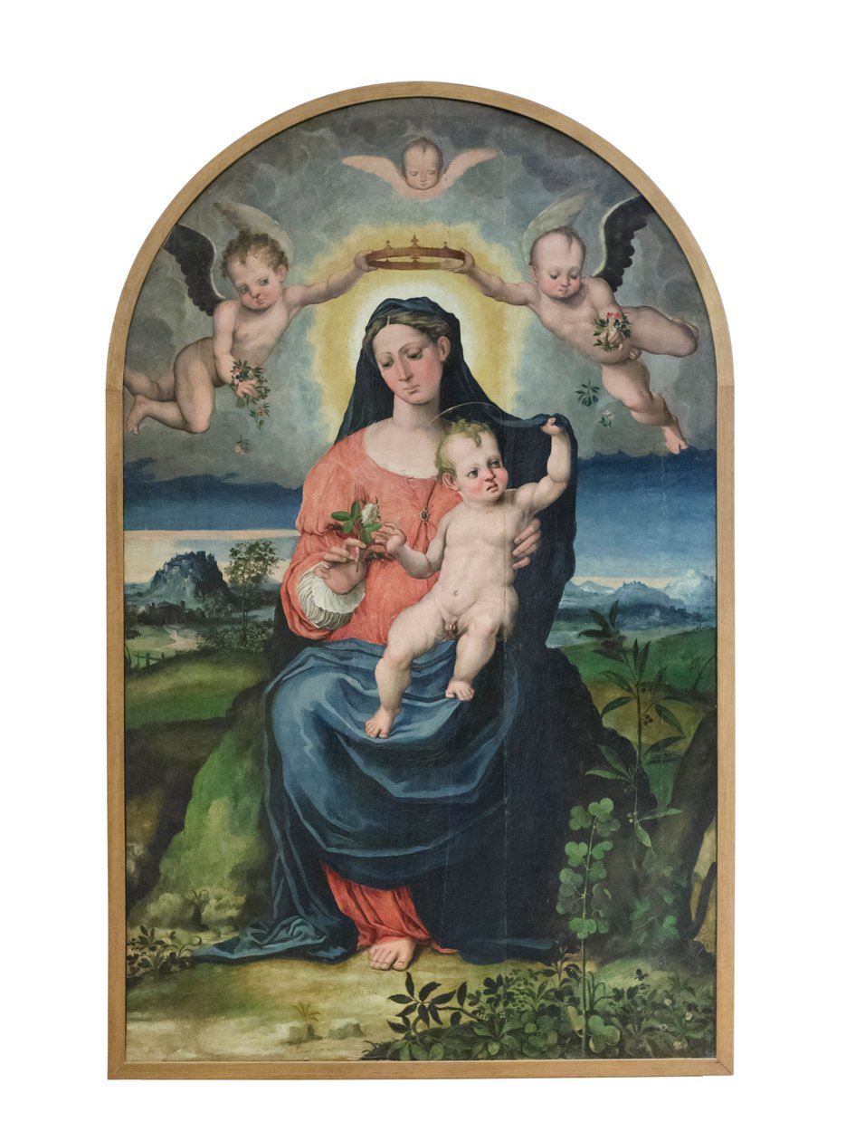 Virgen con el Niño, antes de 1543 (óleo sobre tabla) de Raffaellino di Michelangelo (16th century)