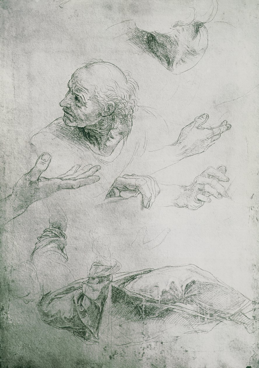 Estudios para la figura de Bramante (1444-1515) de Raffaello Sanzio Raphael