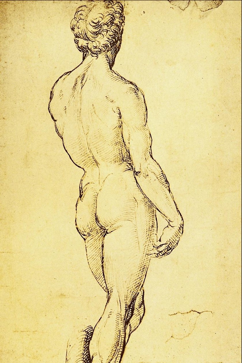 Estudio de desnudo de Raffaello Sanzio Raphael