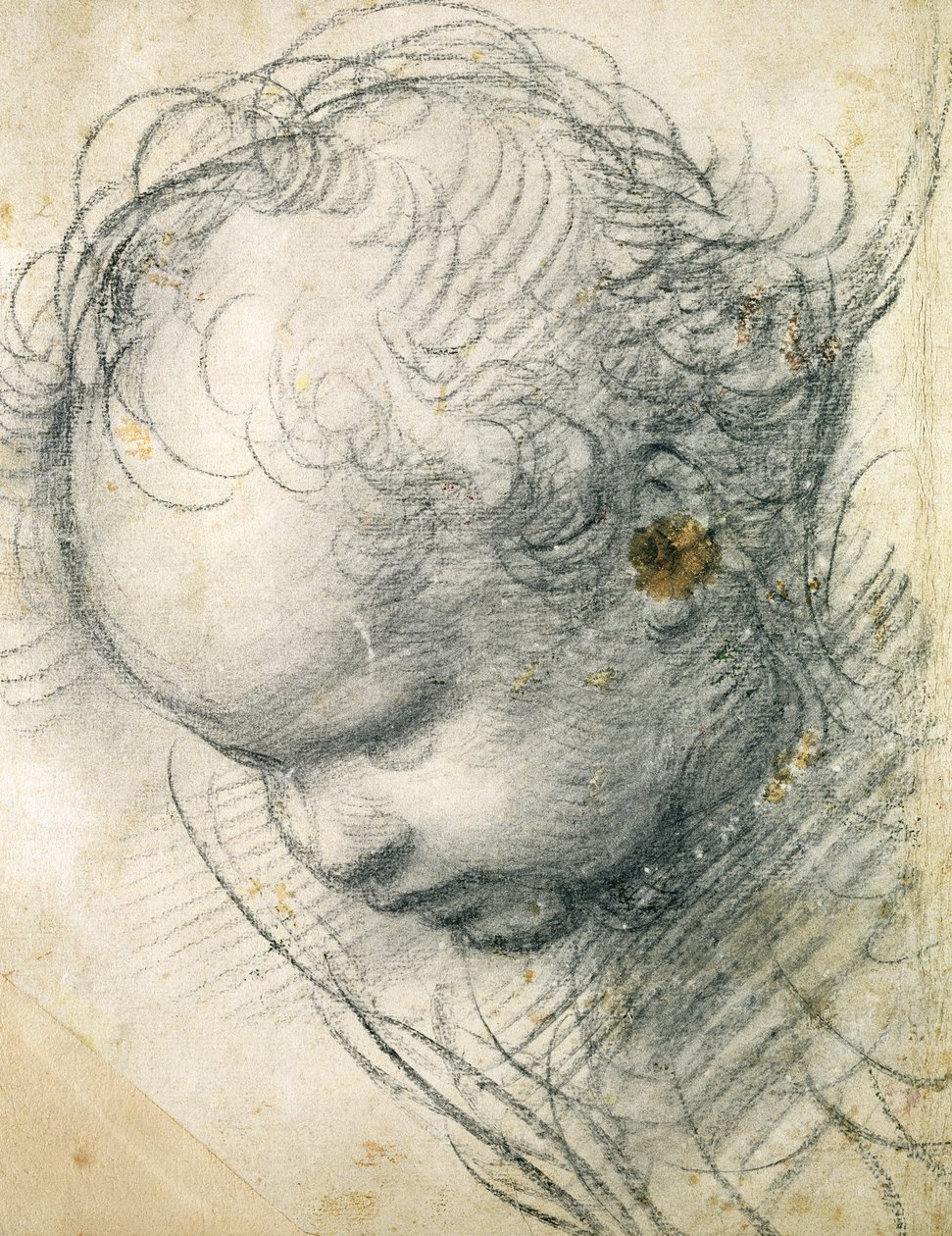Cabeza de un querubín de Raffaello Sanzio Raphael