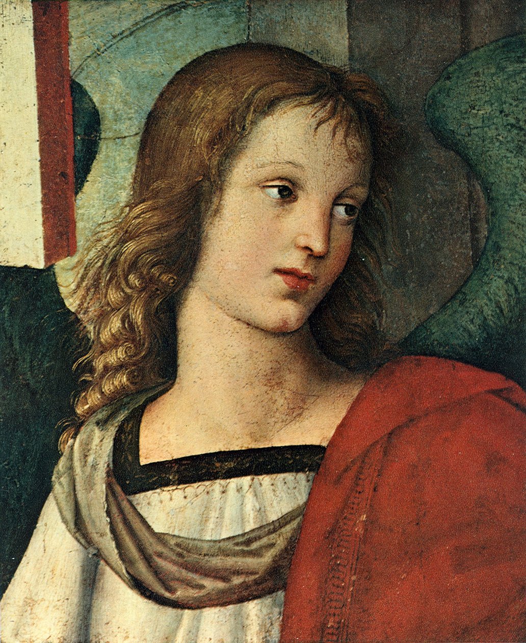 Cabeza de un ángel, c. 1500 de Raffaello Sanzio Raphael