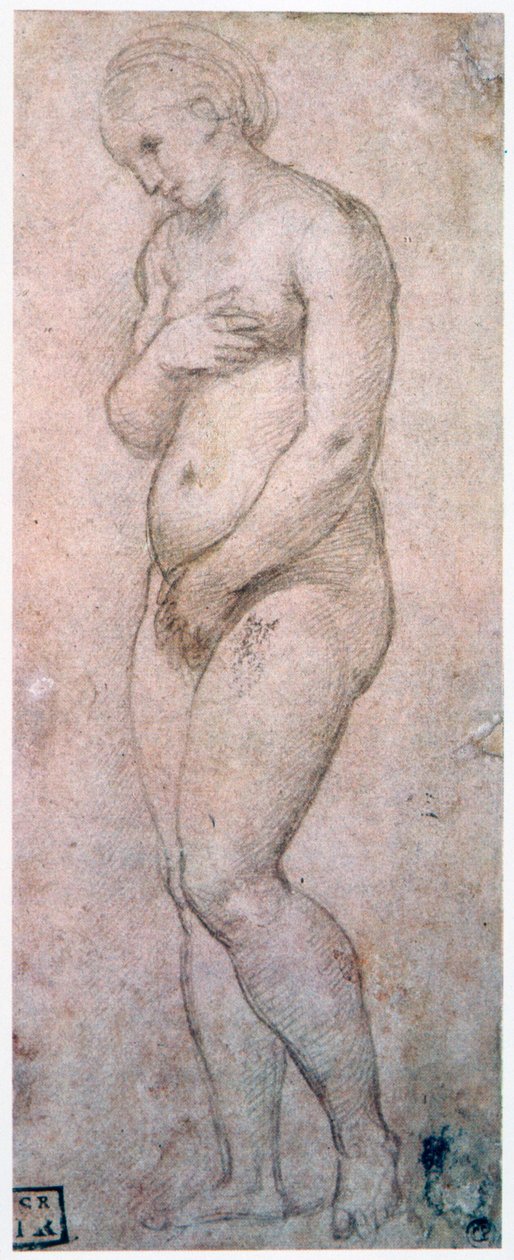 Estudio de Venus de Raffaello Sanzio Raphael