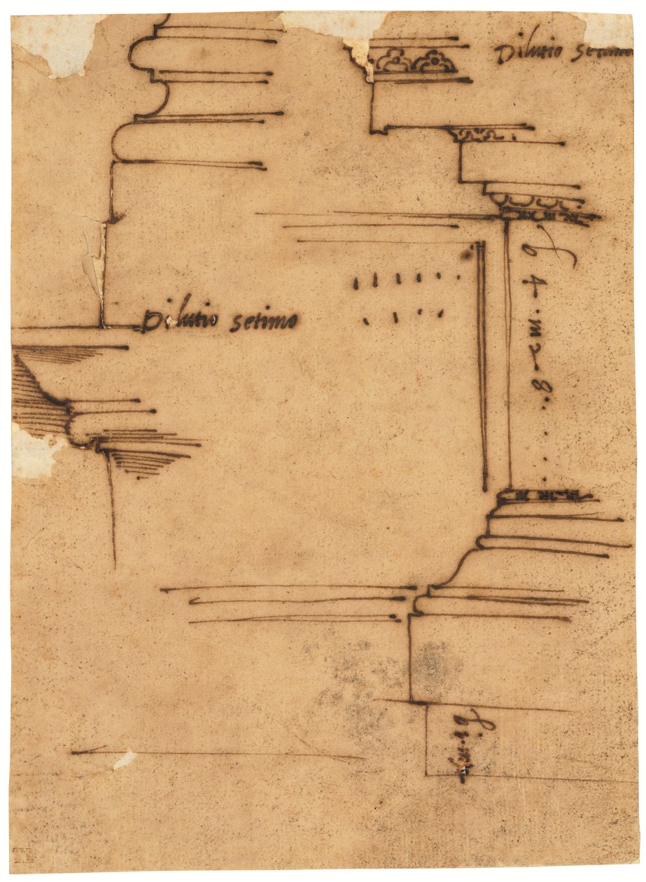 Boceto del entablamento principal del Arco de Septimio Severo, Roma (pluma y tinta marrón, sobre papel vegetal al óleo) de Raffaello da Montelupo