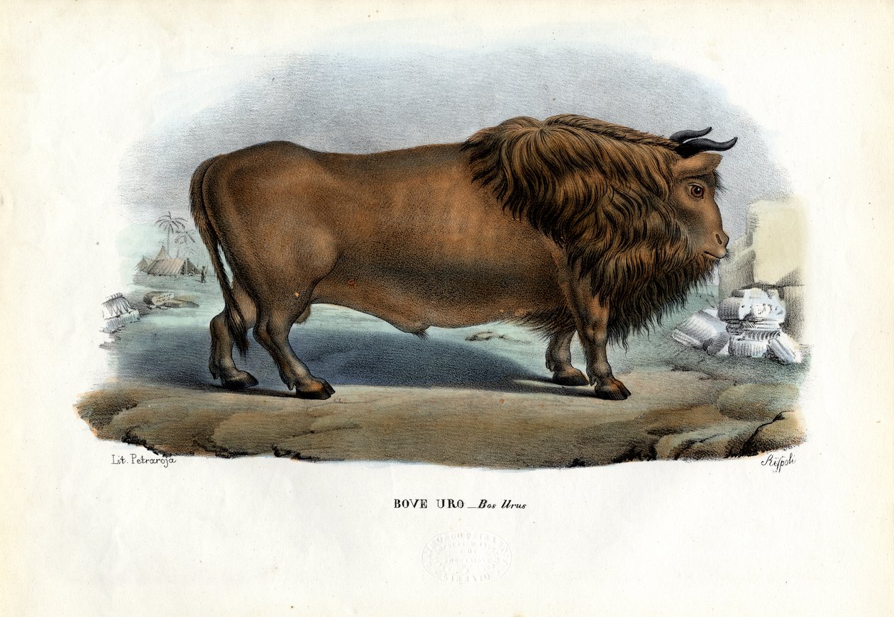 Uro, 1863-79 de Raimundo Petraroja