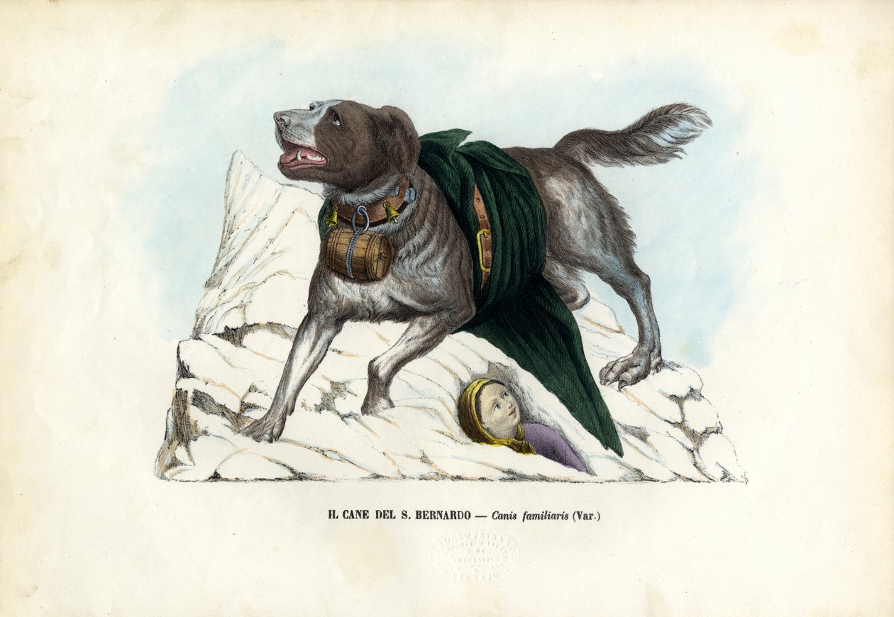 Perros, 1863-79 de Raimundo Petraroja