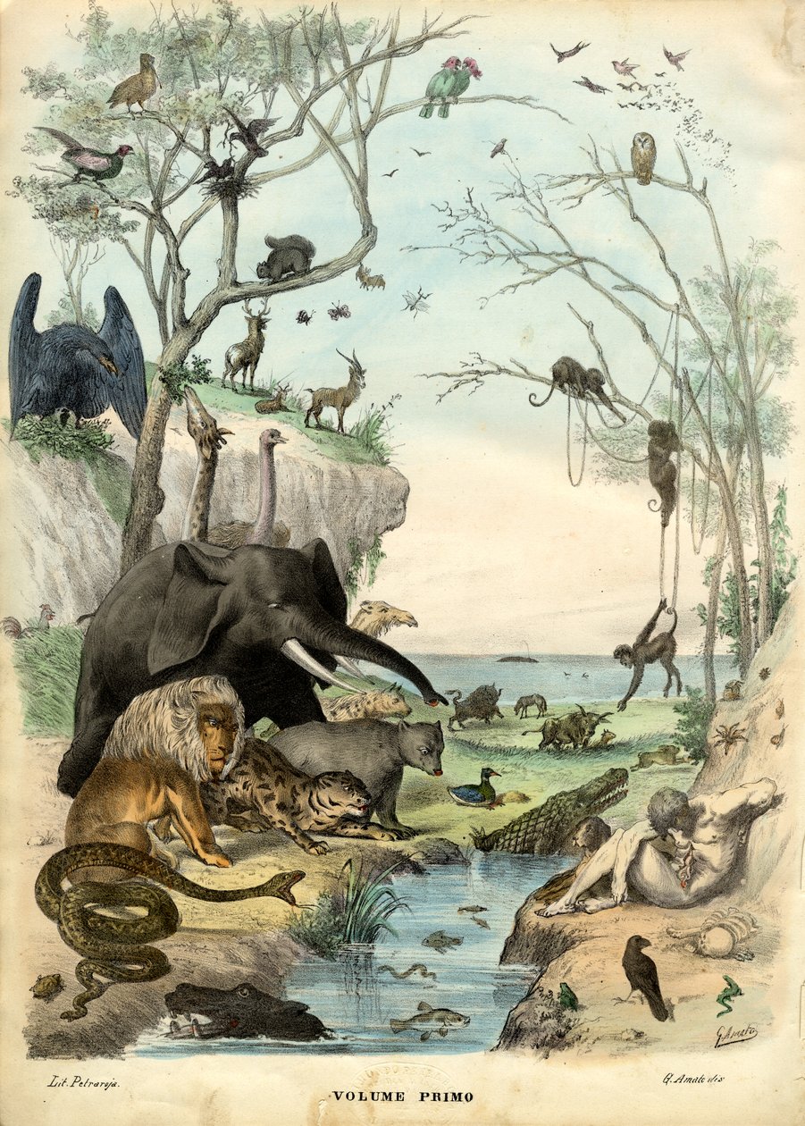 Página de título, 1863-79 de Raimundo Petraroja
