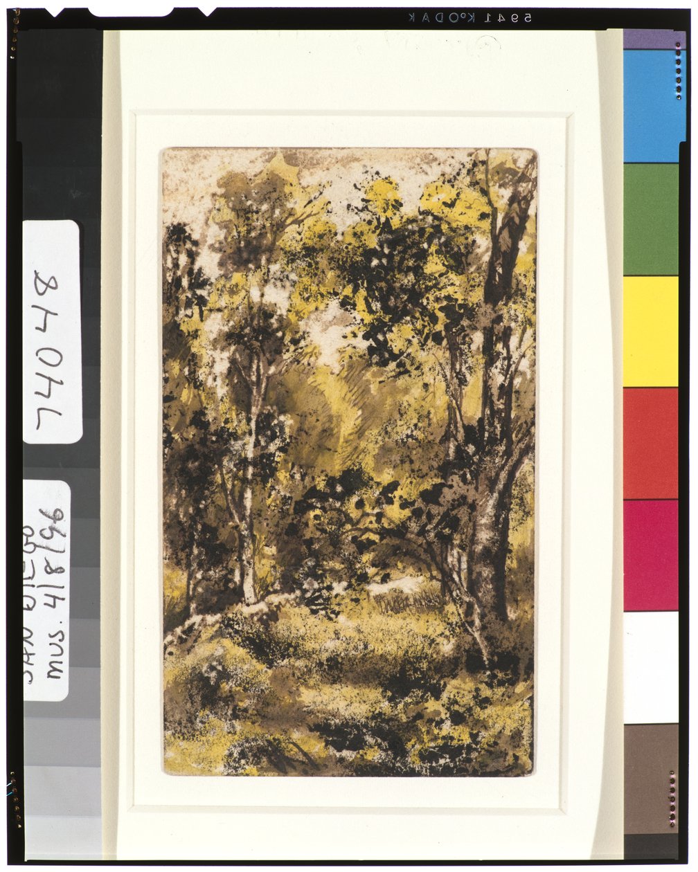 Escena del bosque, 1901-15 de Ralph Albert Blakelock