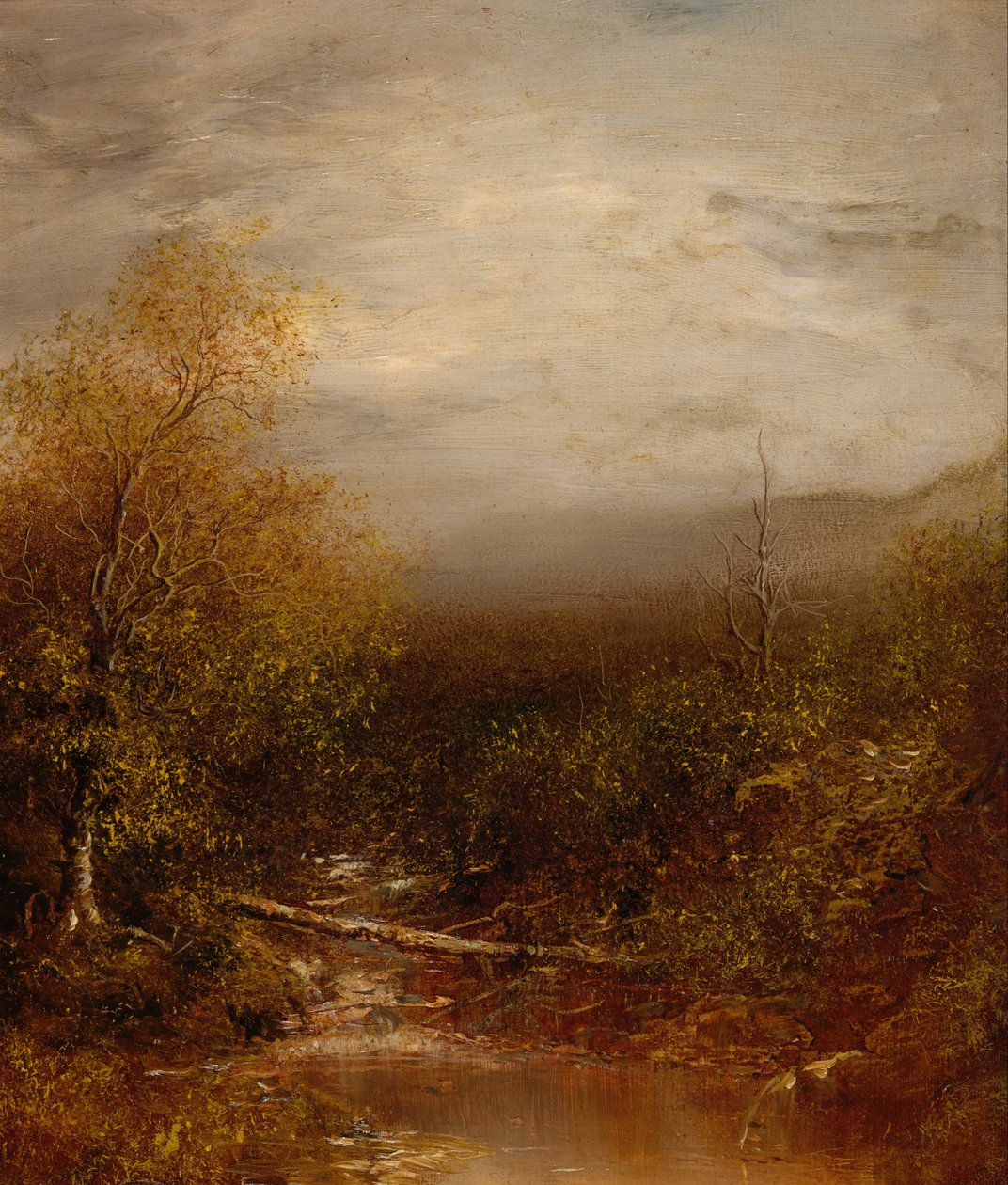 Estanque en los Adirondacks de Ralph Albert Blakelock