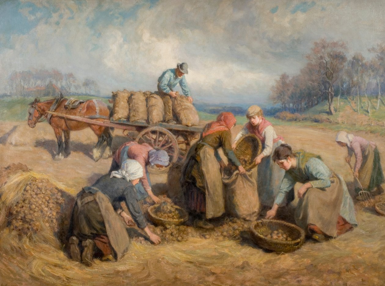 Recolectores de patatas, Northumberland, 1903 de Ralph Hedley