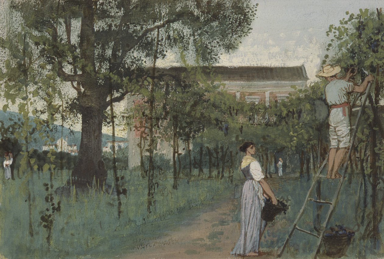 Recolección de uvas de Randolph Caldecott