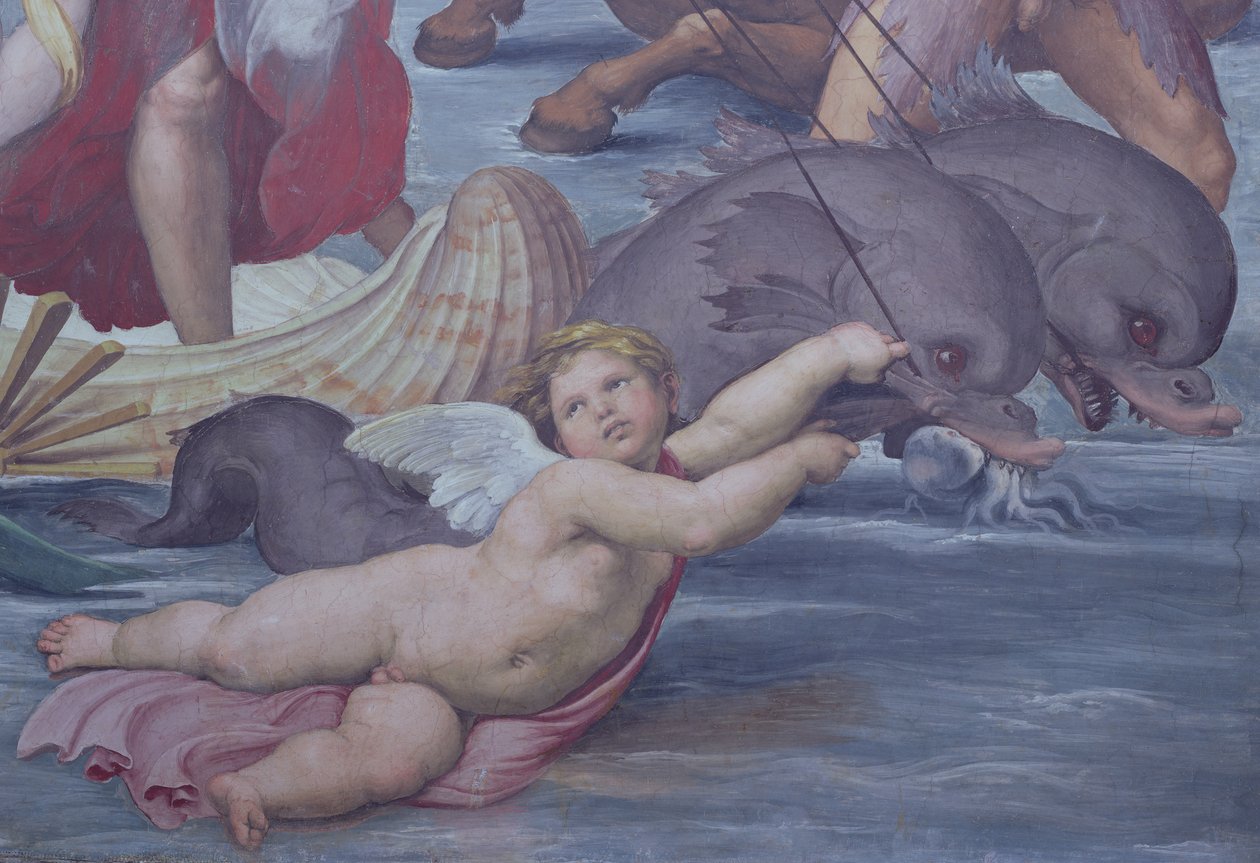Galatea, detalle de putto y delfines (detalle) de Raffaello Sanzio Raphael