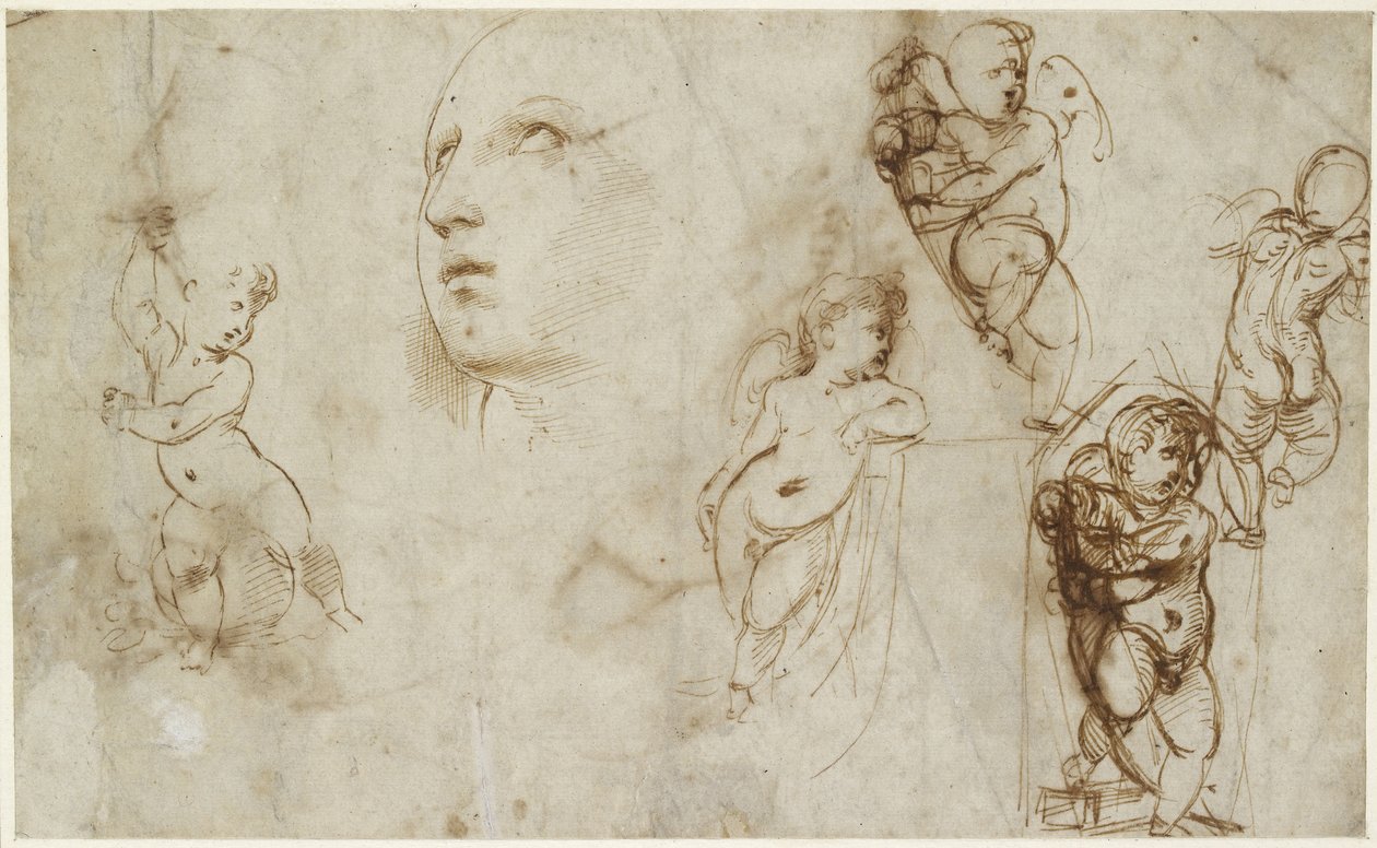Una cabeza femenina para Borghese-Beckford Santa Catalina y varios putti, WA1846.177 de Raffaello Sanzio Raphael