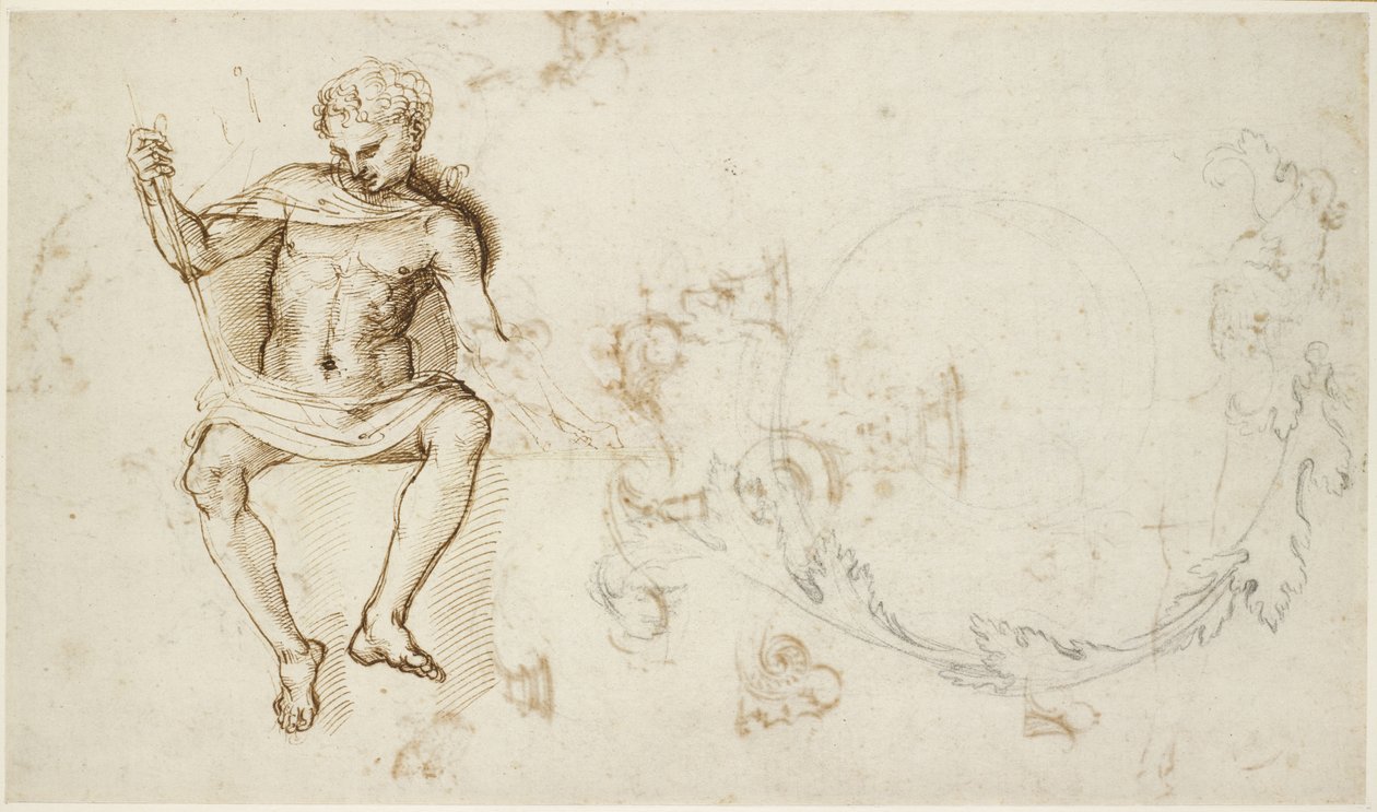 Recto: Estudios de un hombre sentado y de follaje de acanto, WA1846.147 de Raffaello Sanzio Raphael