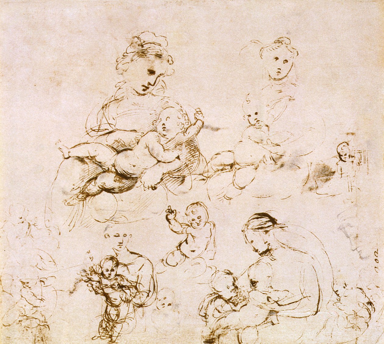 Varios estudios de una Madonna y el Niño de Raffaello Sanzio Raphael