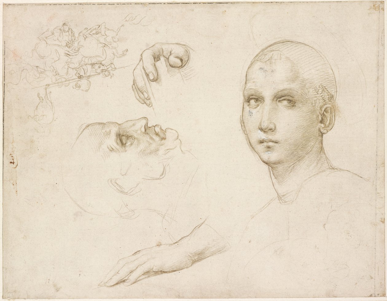 Estudios para la Trinidad de San Severo y bocetos después de Leonardo de Raffaello Sanzio Raphael