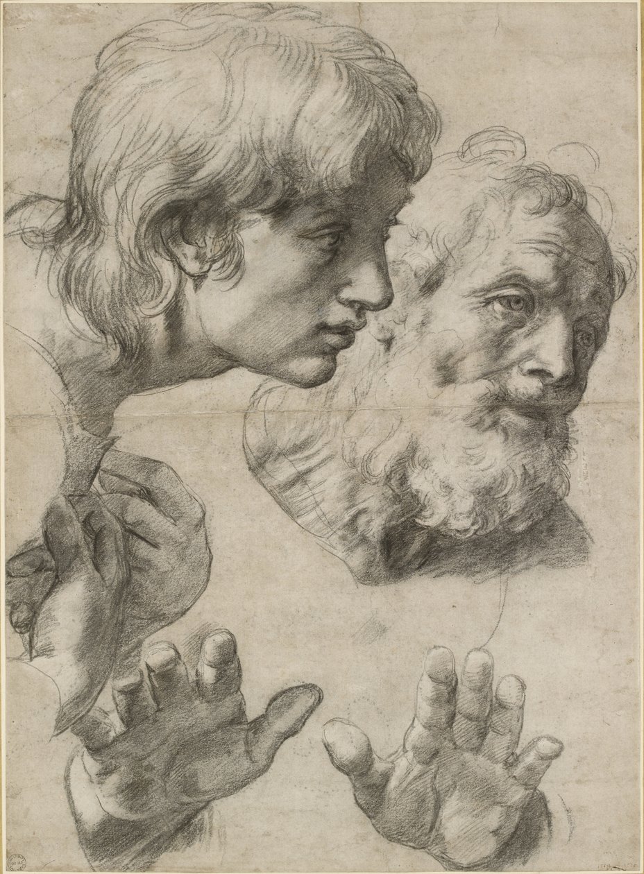 Estudios de las cabezas de dos apóstoles y de sus manos, WA1846.209 de Raffaello Sanzio Raphael