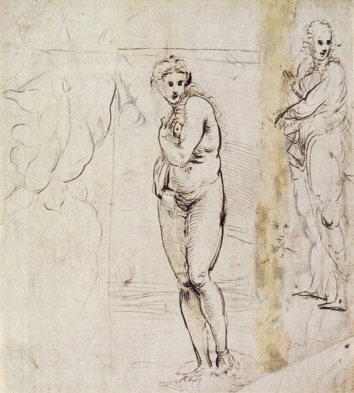 Estudio de Venus de Raffaello Sanzio Raphael