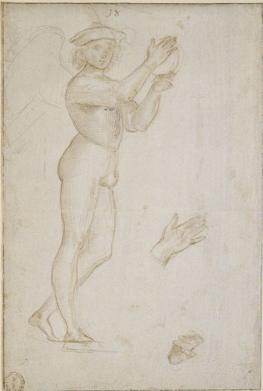 Dos estudios de Raffaello Sanzio Raphael