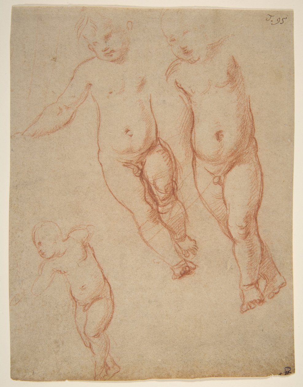 Estudios del Niño Jesús, 1513-14 de Raffaello Sanzio Raphael