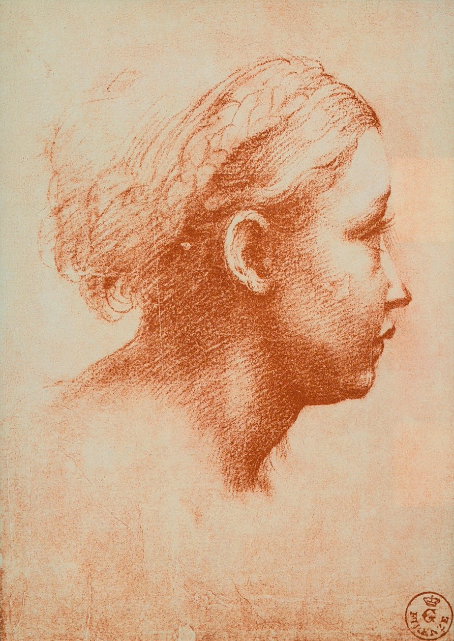 Cabeza femenina de perfil, dibujo de Rafael. Gabinetto dei Disegni e delle Stampe, Uffizi, Florencia de Raffaello Sanzio Raphael