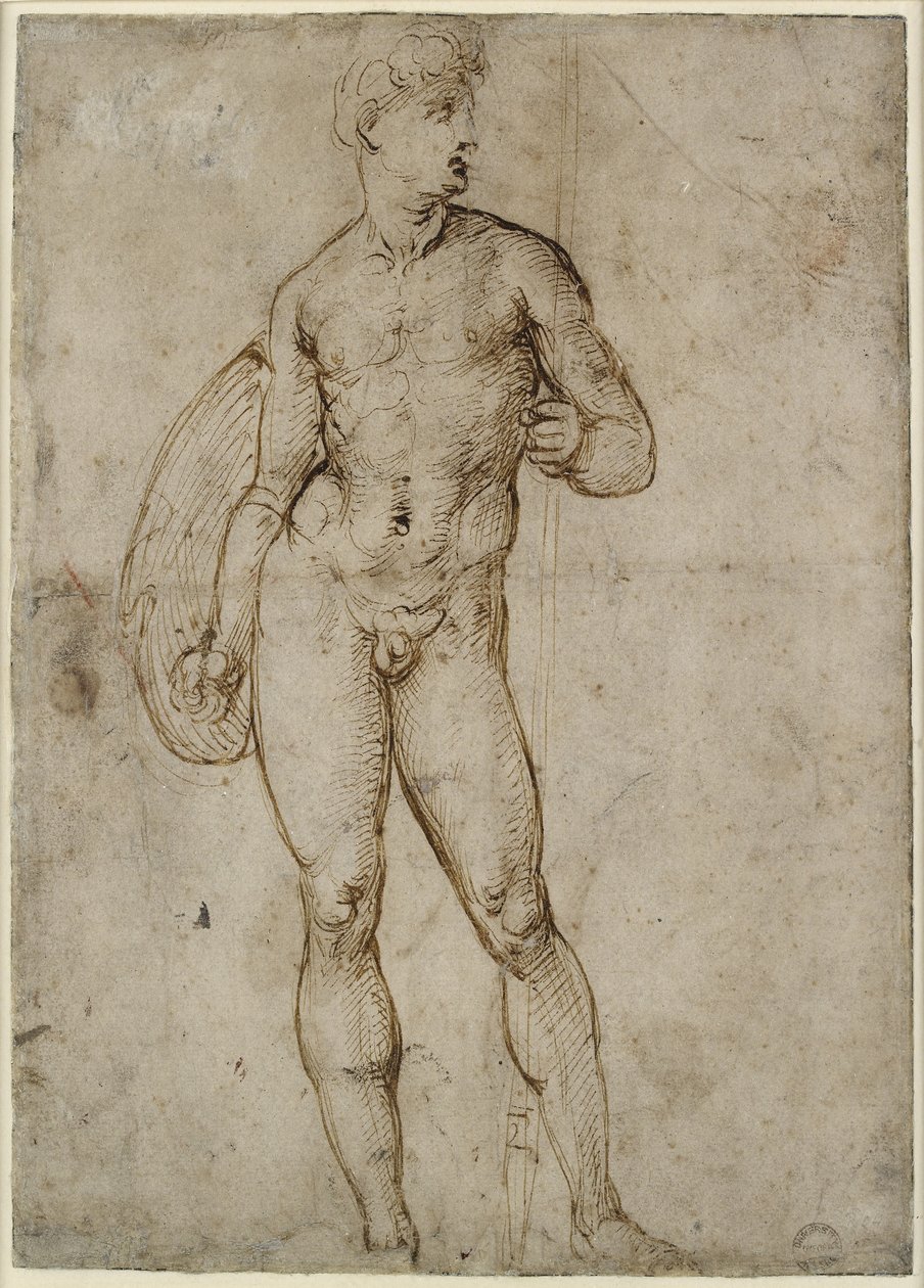 Un joven guerrero (recto) de Raffaello Sanzio Raphael