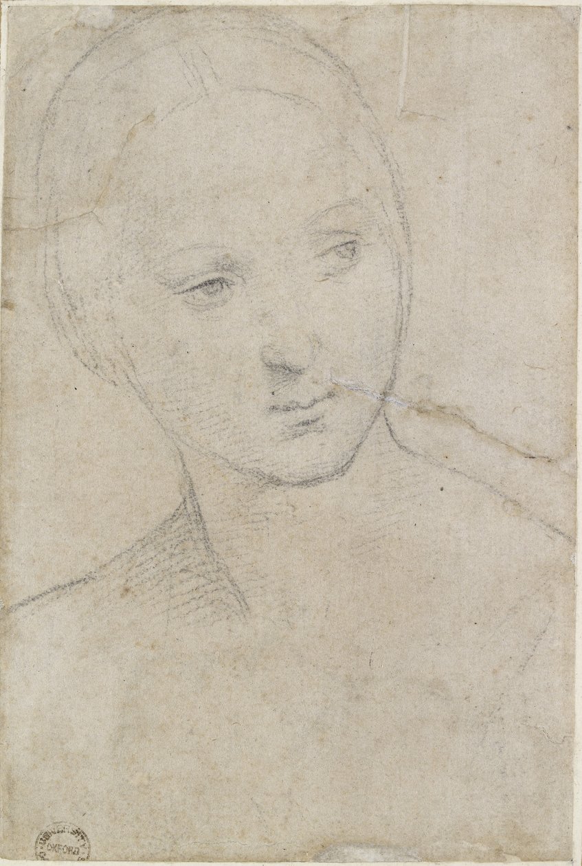 Estudio de la cabeza de una joven (recto) de Raffaello Sanzio Raphael