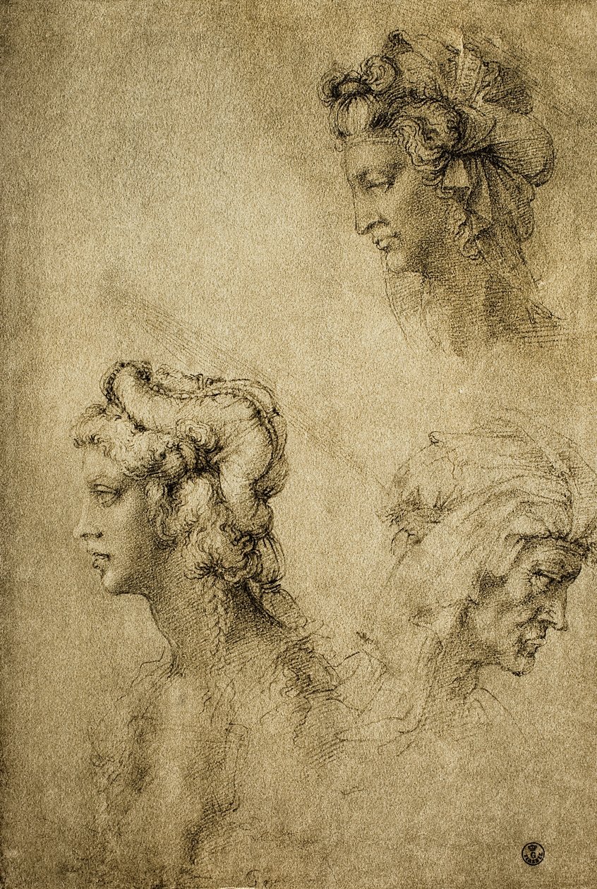 Estudio de cabezas femeninas de Raffaello Sanzio Raphael